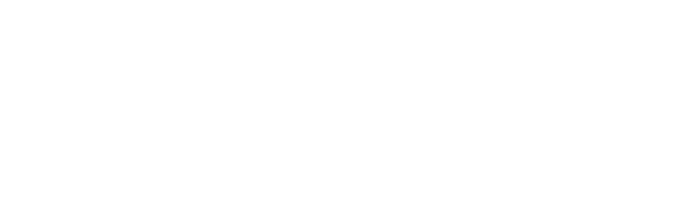 https://www.ideal-top.com/wp-content/uploads/2025/03/BV-Roberto-Pasqualetti_bianco-768x222.png
